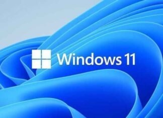 Windows 11 Cheat Sheet: Must Know Information and Features Windows 11 Cheat Sheet: Must Know Information and Features