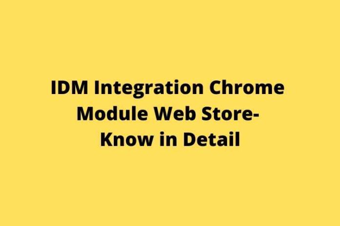 IDM Integration Chrome Module Web Store