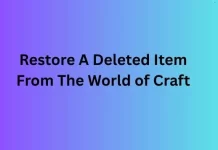 Best Way to WOW Item Restoration: Steps To Restore A Deleted Item From The World of Craft Restore A Deleted Item From The World of Craft