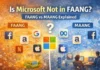Is Microsoft Not in FAANG? Understanding FAANG vs MAANG and Where Microsoft Fits Is Microsoft Not in FAANG